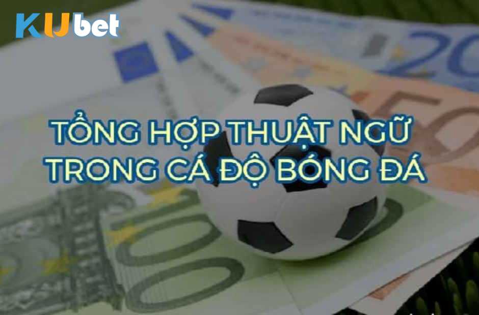 Tổng hợp thuật ngữ trong cá độ bóng đá