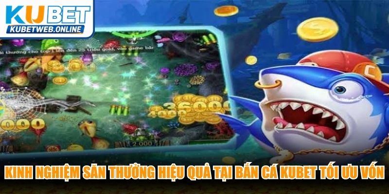Kinh nghiệm săn thưởng hiệu quả tại bắn cá Kubet tối ưu vốn chuẩn