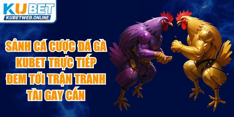 Sảnh cá cược đá gà Kubet trực tiếp đem tới những trận tranh tài gay cấn
